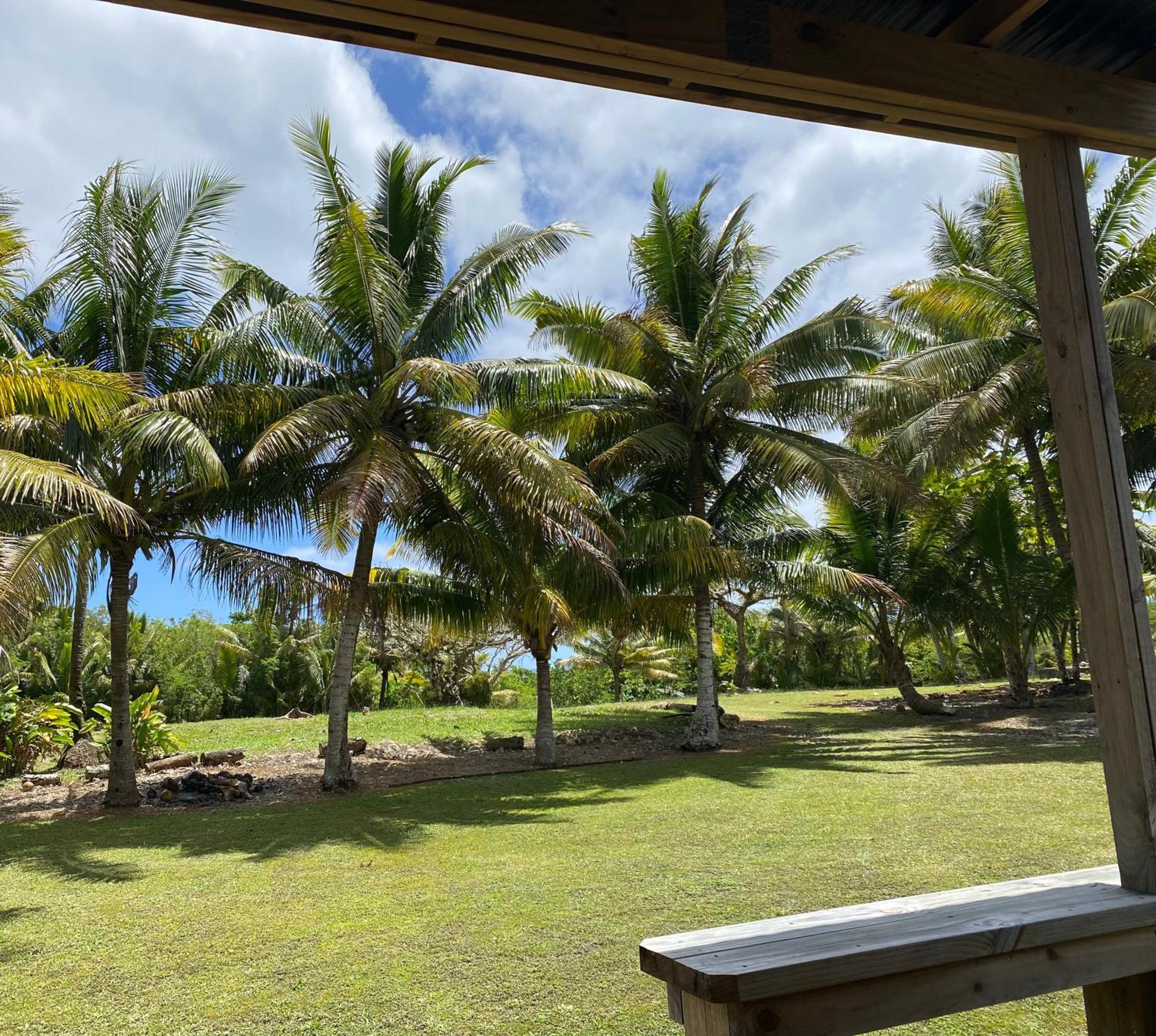 David'S Fale, Alofi, Niue Esterno foto
